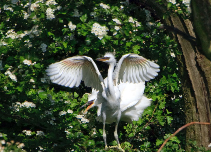 Give me food....now!!!