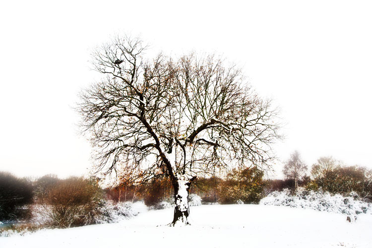 Season's Greetings to all