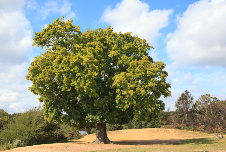 The beginning of the end?