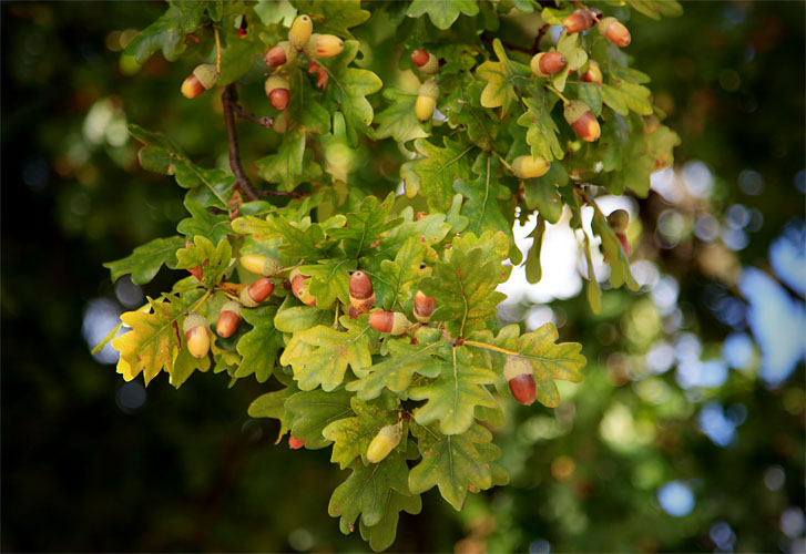 ...or just the end of the beginning?